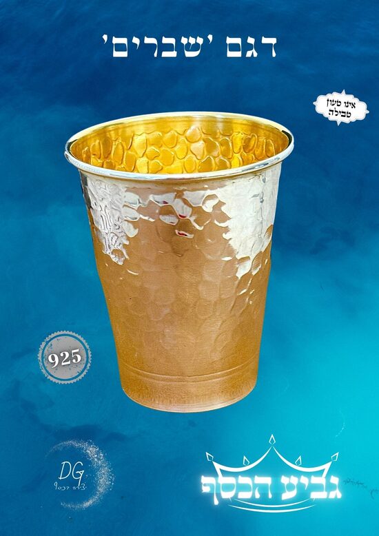 דגם שברים 160 סמ"ק